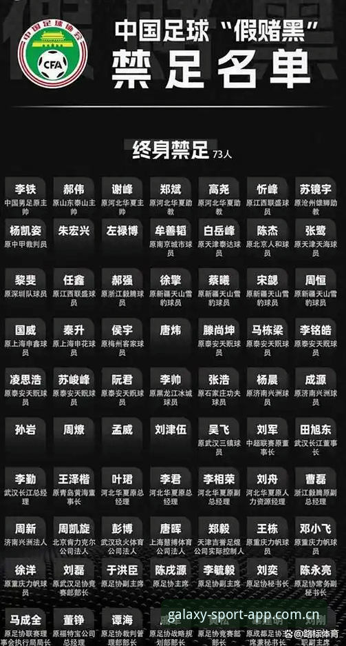 资深用户分享：足协第三批禁足名单深度解读，从星空体育官网看中国足球整顿风暴